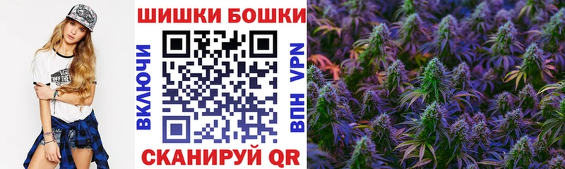Бошки марихуана конопля Устюжна